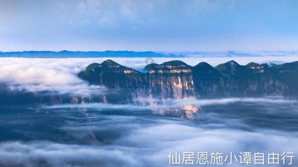 救援卷耳兔